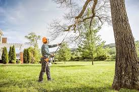 How Our Tree Care Process Works  in Biglerville, PA